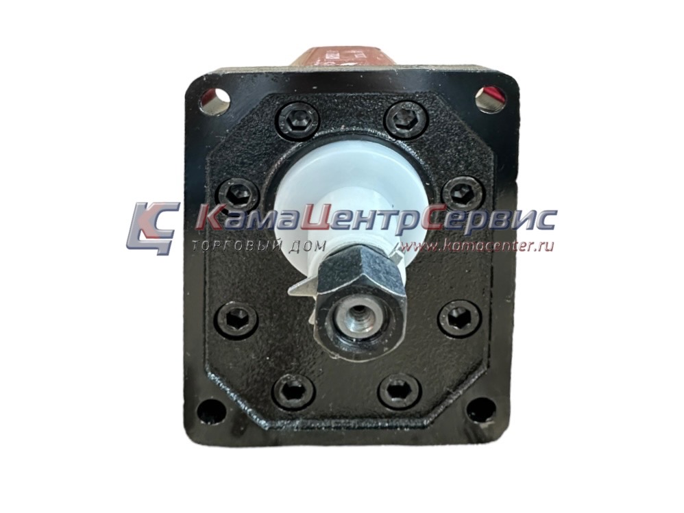 Гидронасос шестеренный 3гр 33,00см3 RGGP3E8-D-33Z9L8 (1:8)  -N1 