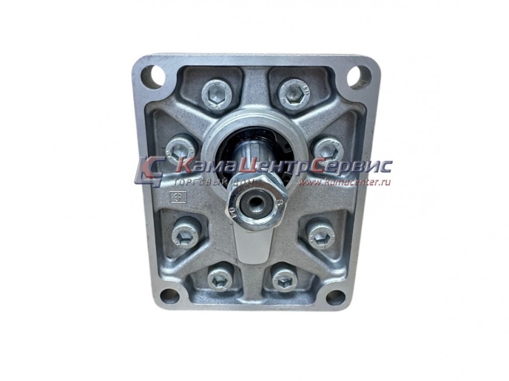 Гидронасос шестеренный 3гр 51,90см3 BG3052ST0AT80GG5D00 (1:8) BG3052ST0A T80GG5D00 Г