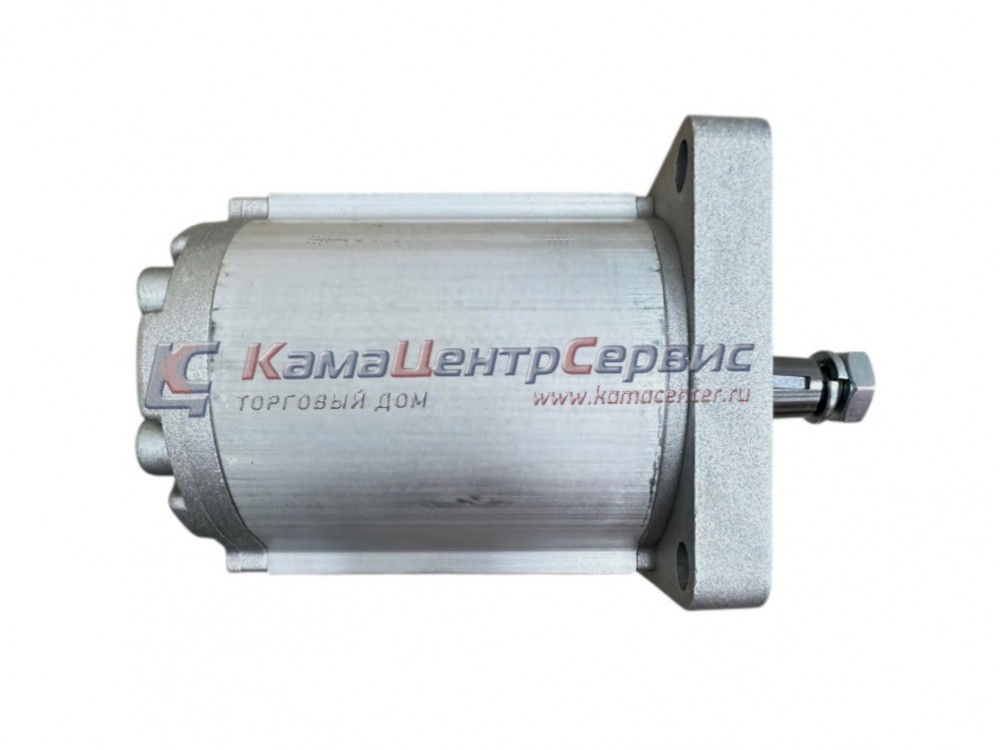 Гидронасос шестеренный 3гр 22,20см3 BG3022ST0AT80GG5D00 (1:8)  B&C BG3022ST0A T80GG5D00