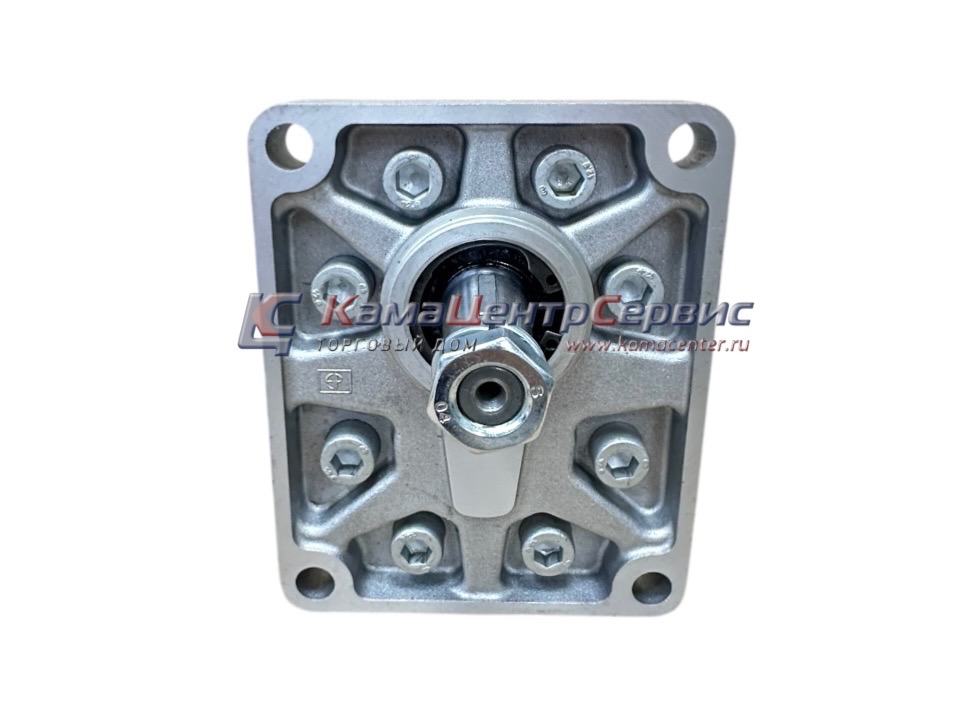 Гидронасос шестеренный 3гр 22,20см3 BG3022ST0AT80GG5D00 (1:8)  B&C BG3022ST0A T80GG5D00