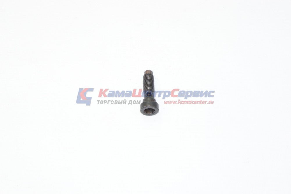 Клапан форсунки поршня (ПАО КАМАЗ) 7405-1004066