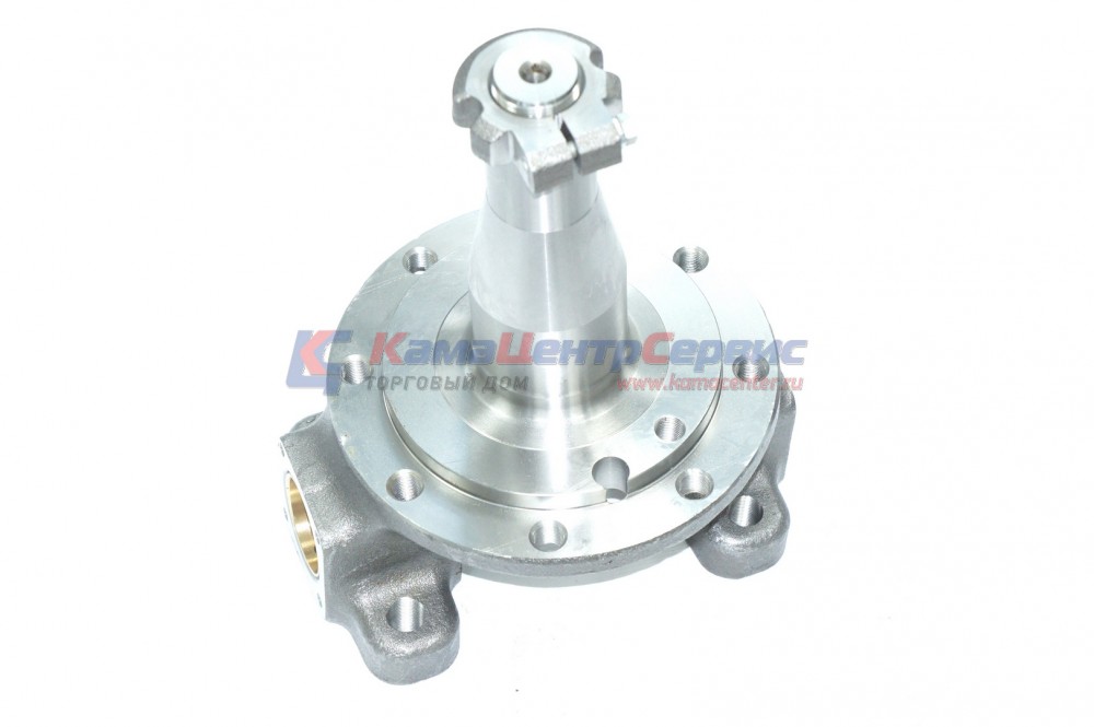 Кулак поворотный 6520 (ПАО КАМАЗ) 6520-3001009