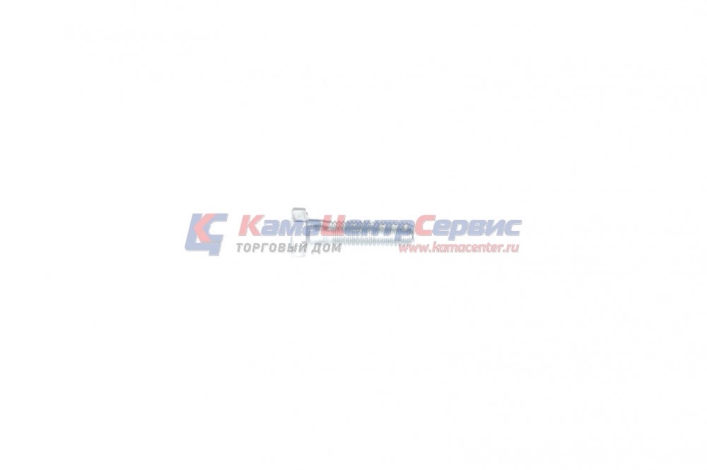 Болт М6х1,25х25 крепл. насоса ПЖД 1/09026/21