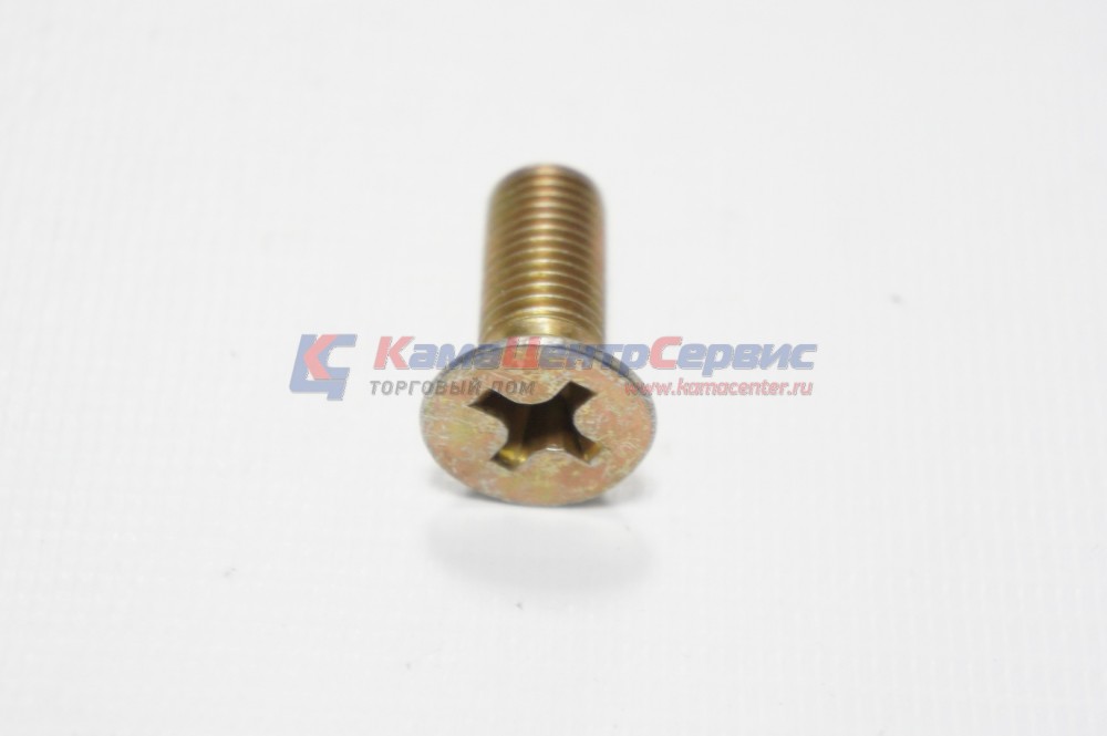Винт М10х1,25х6Gх25 барабана торм.6520,43118 853352