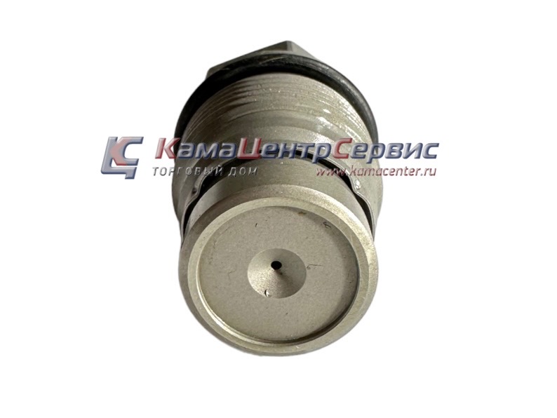 Клапан ограничителя давления ЕВРО 3,4 (1110010013) 1110010024-0