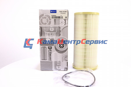 Фильтр топливный FS 20202. FS20202